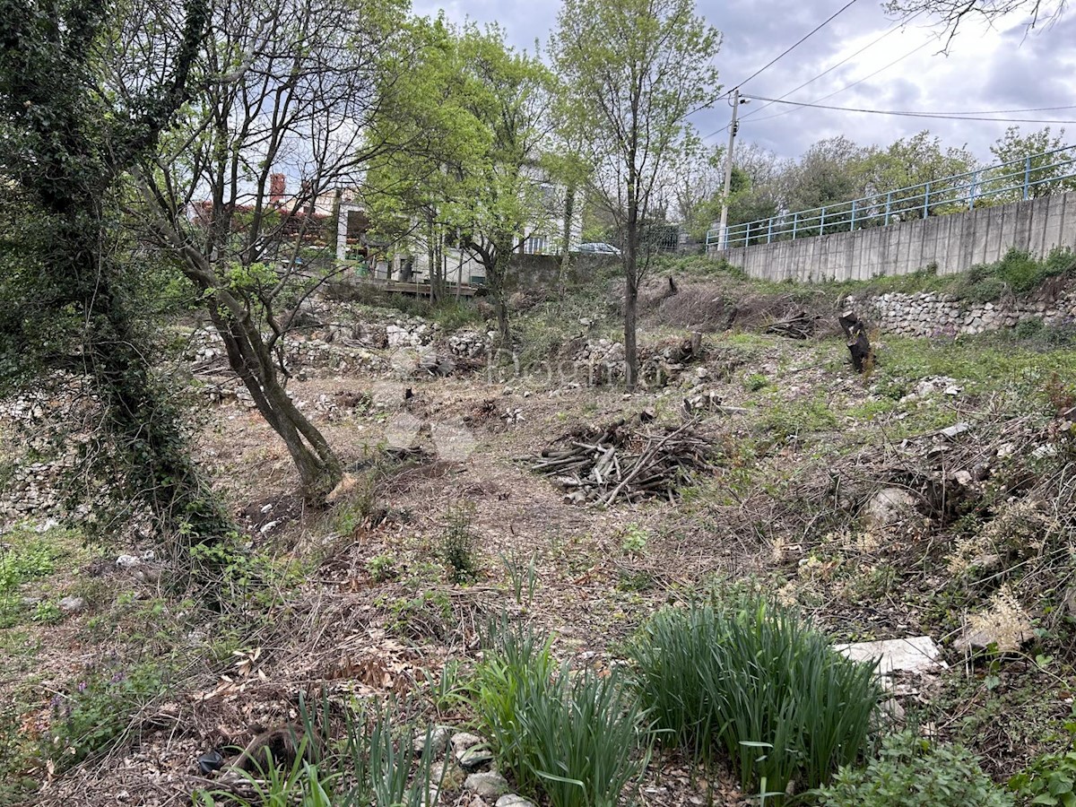 MIHOTIĆI