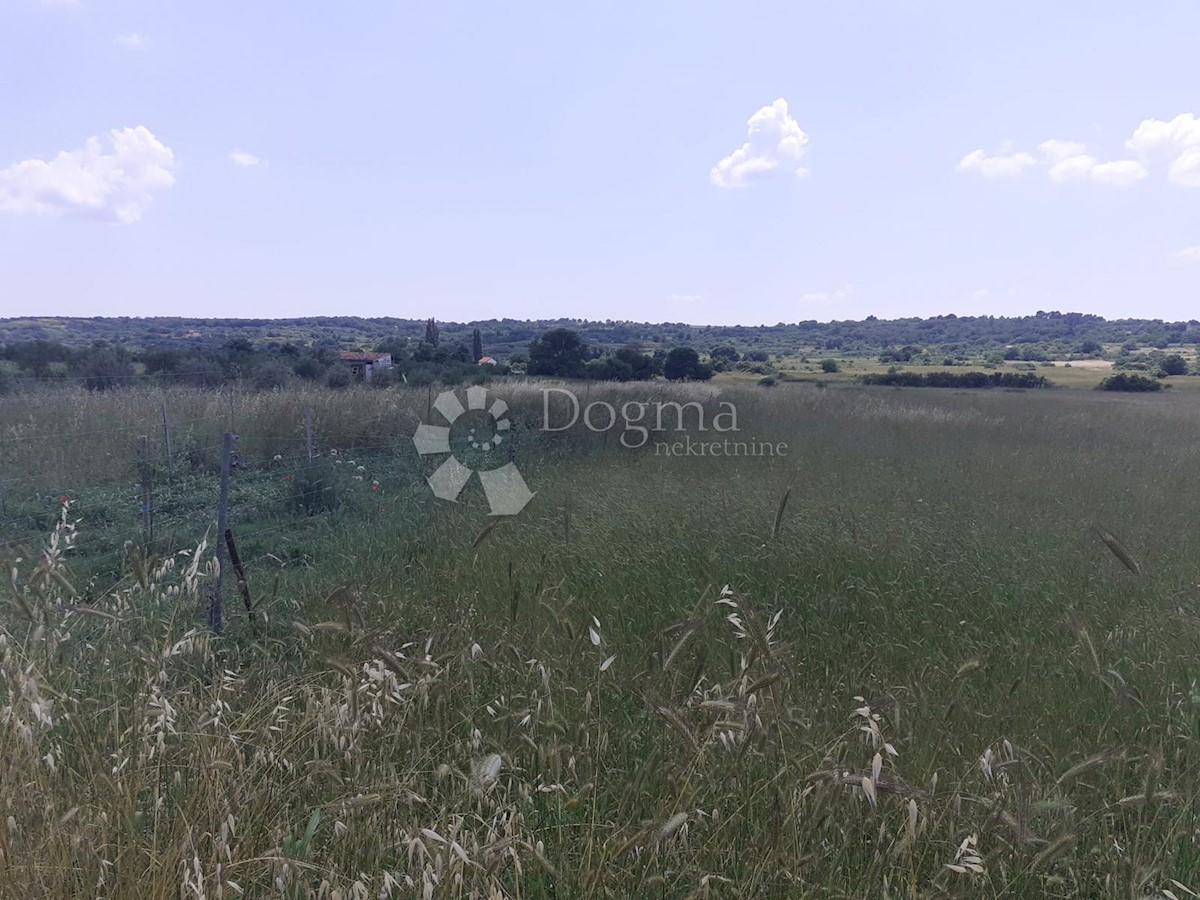 BIBINJE