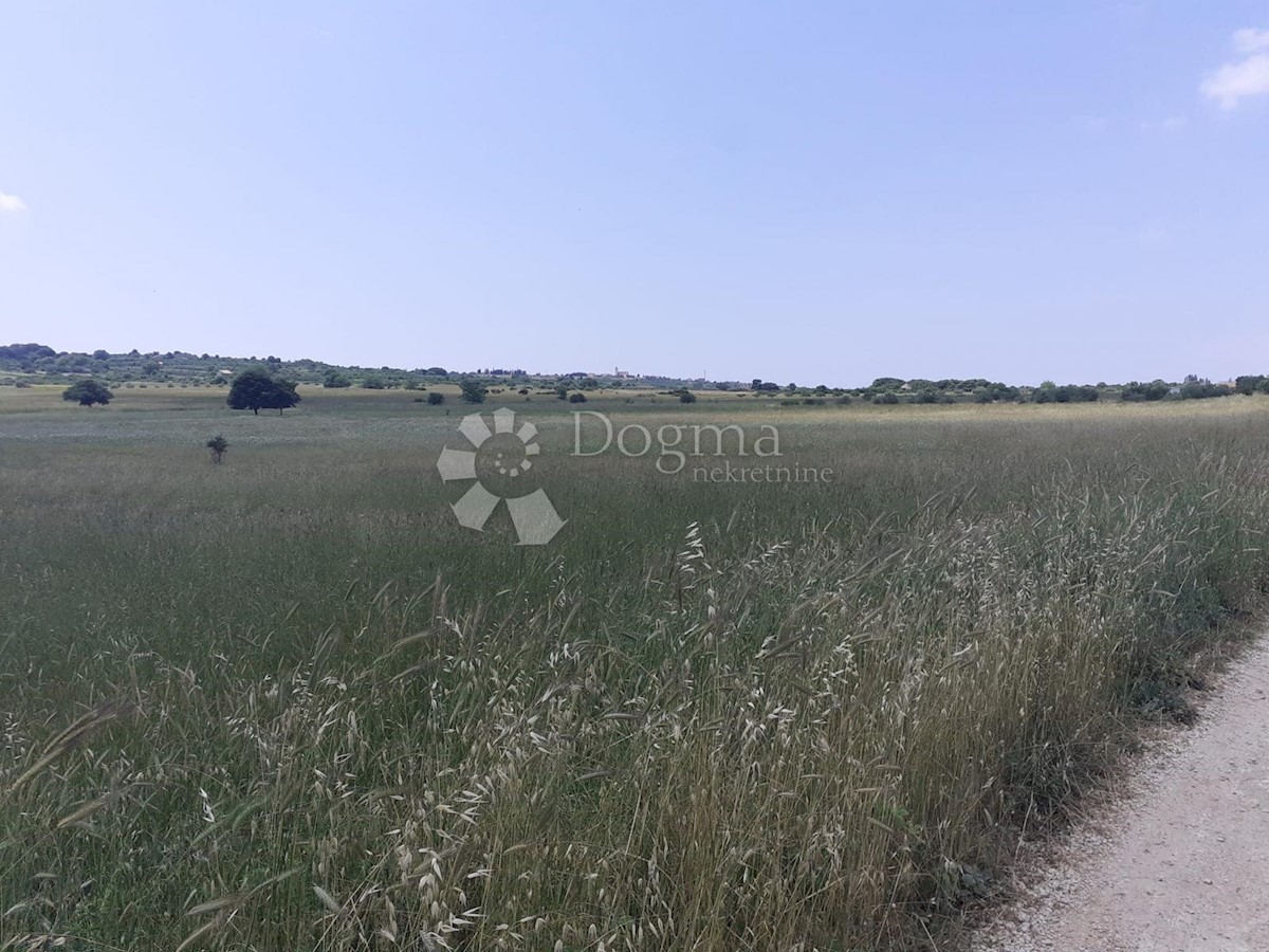 BIBINJE