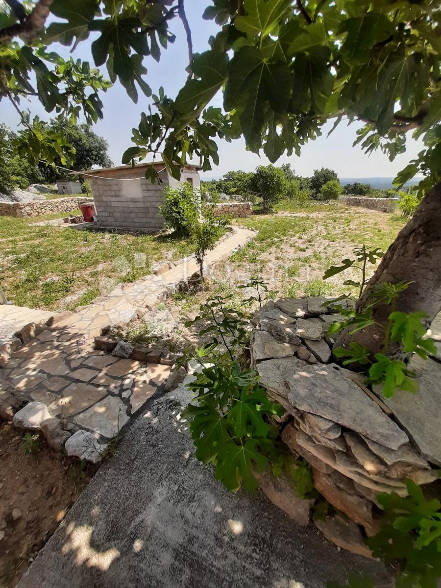 JOVIĆI