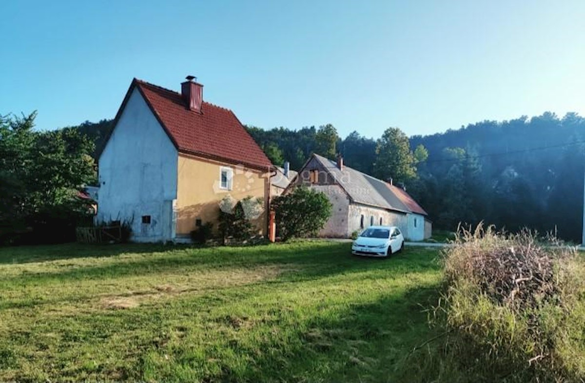 LIČ