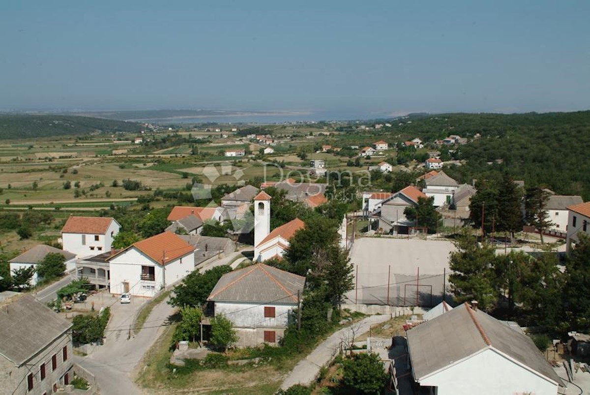 RADOVIN