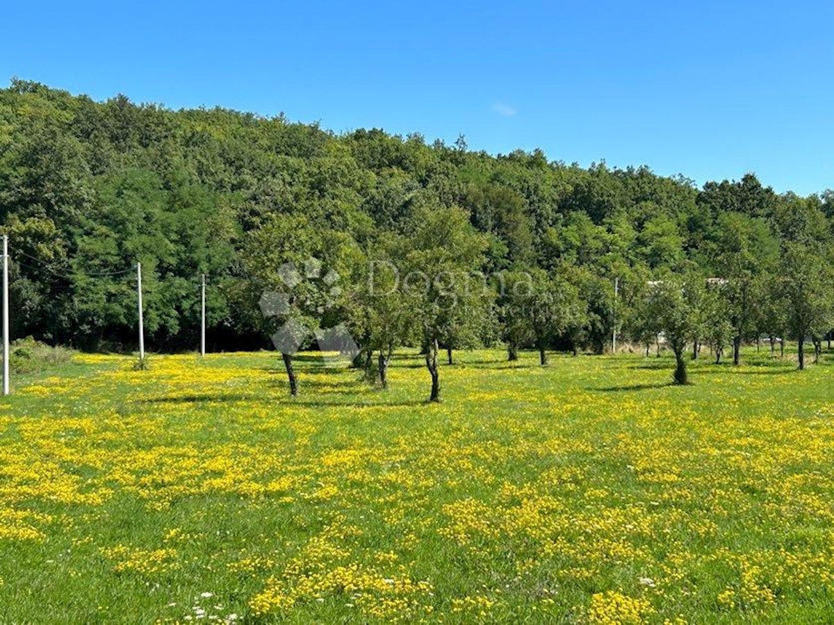 MUŠALUK