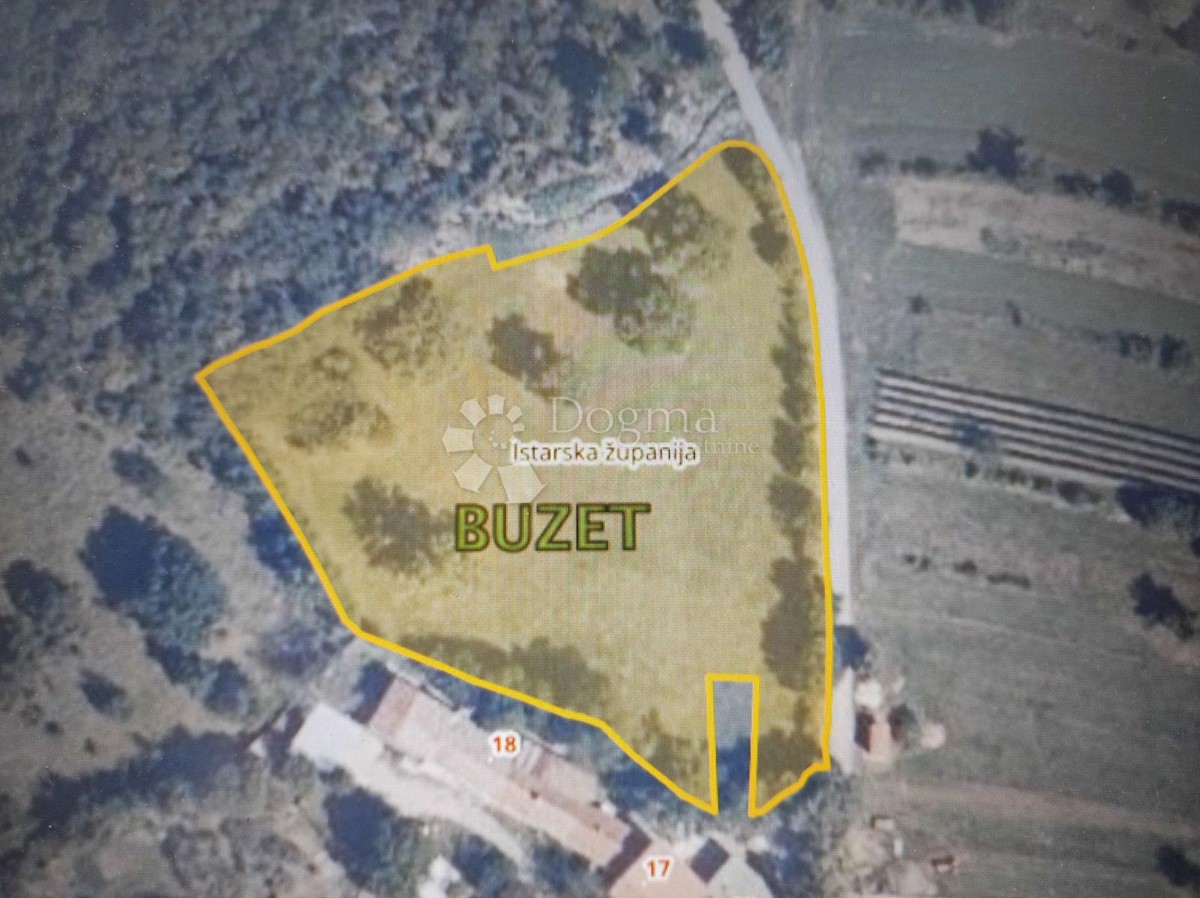 BUZET