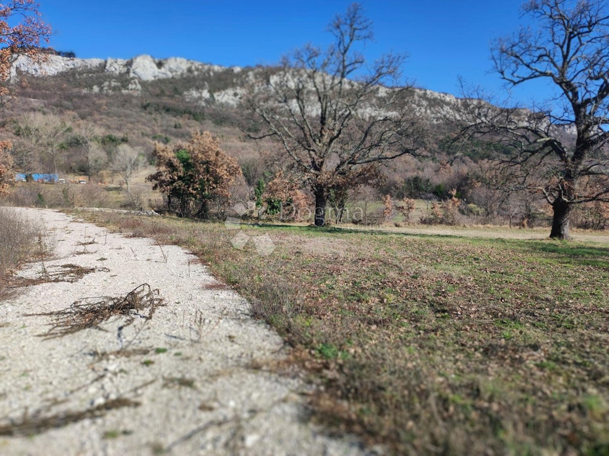 BUZET