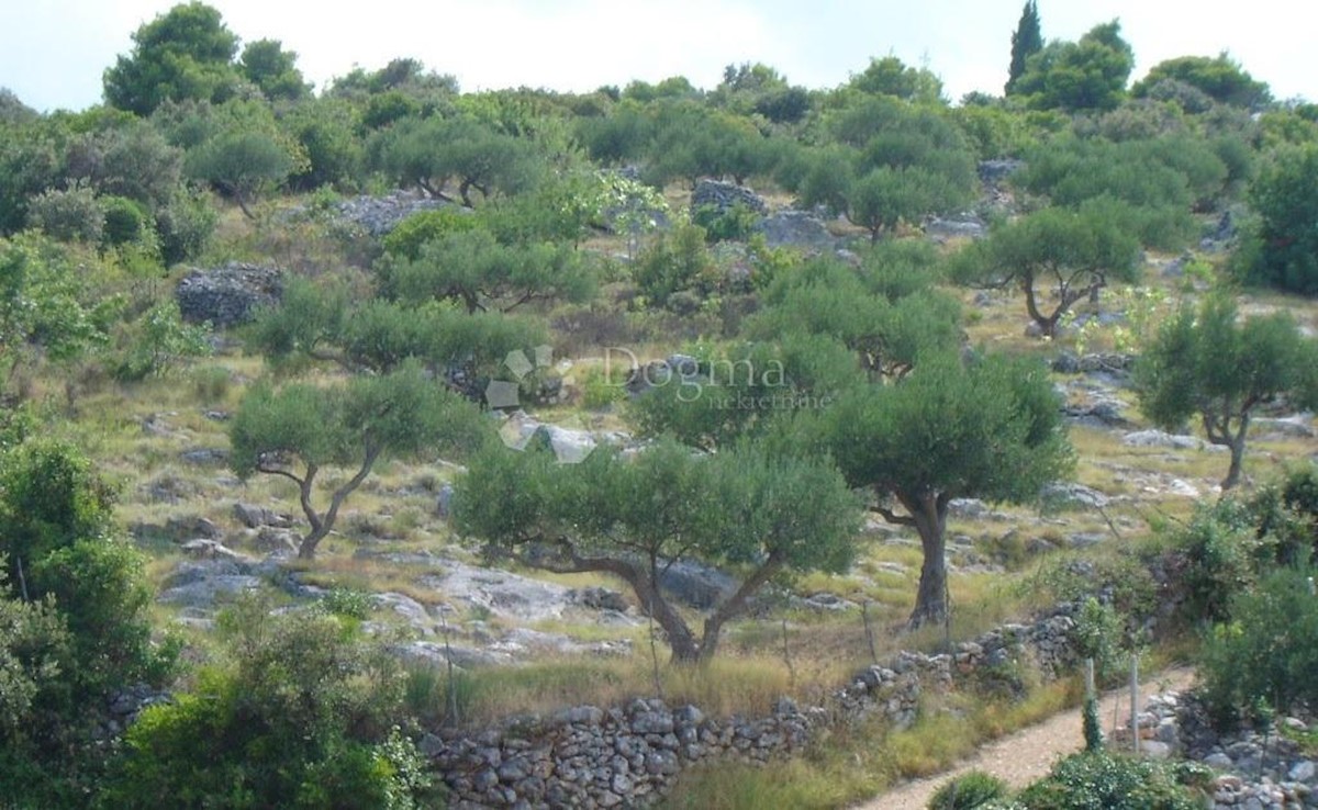MIRCA