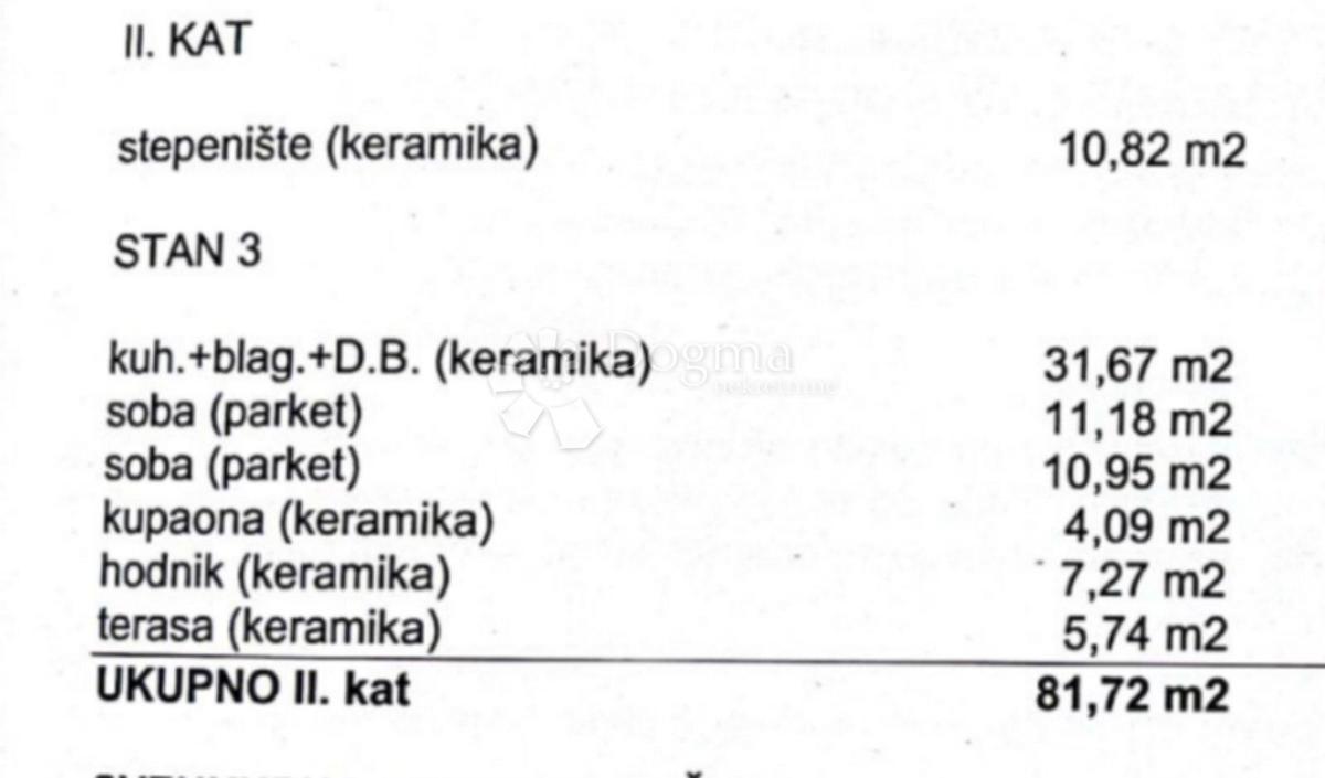 ČIŽIĆI