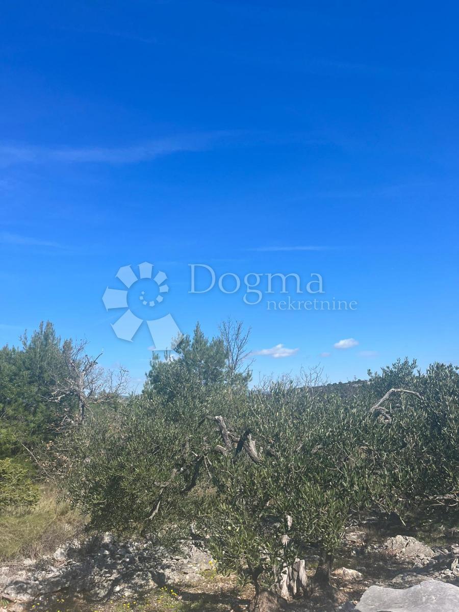 DVORNICA