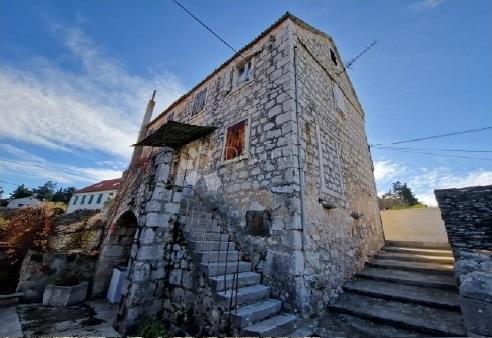 DRAČEVICA