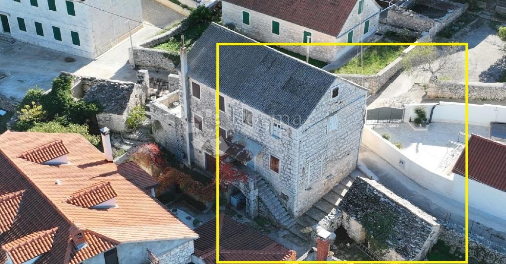 DRAČEVICA