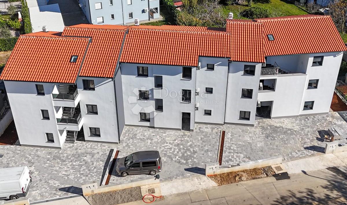 ČIŽIĆI