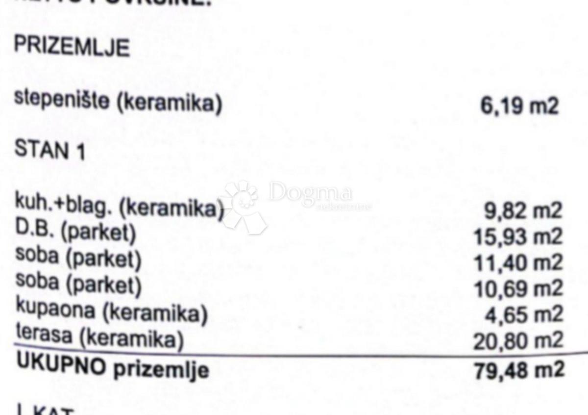 ČIŽIĆI