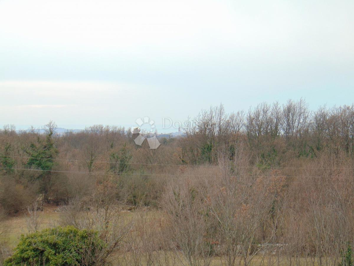JURŠIĆI
