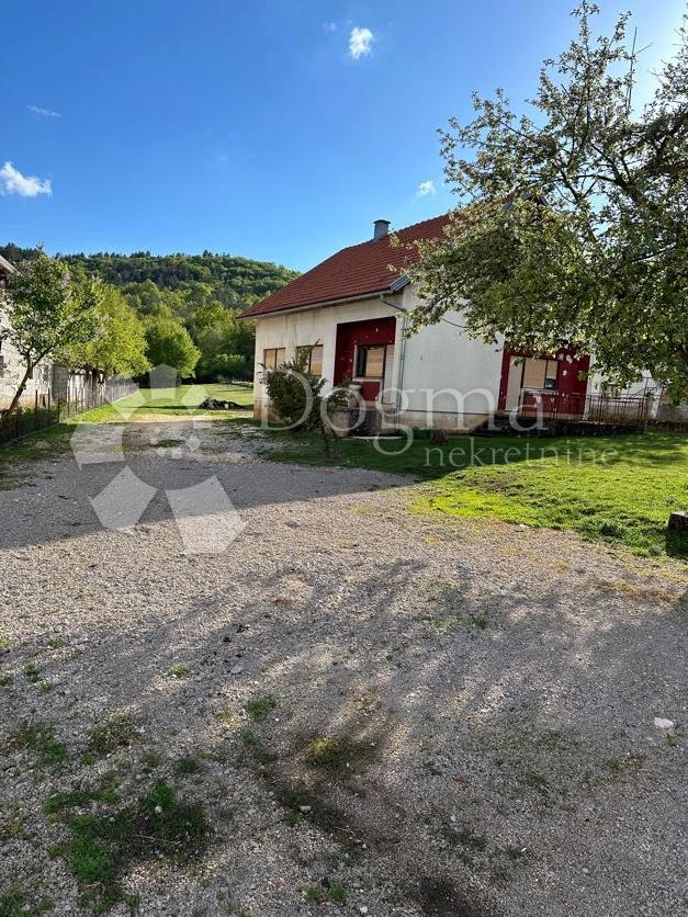 LIČKI OSIK