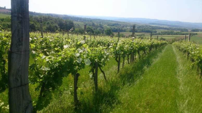 GRADIŠTE