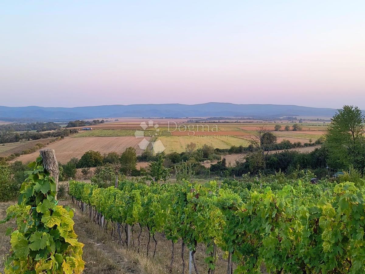 GRADIŠTE