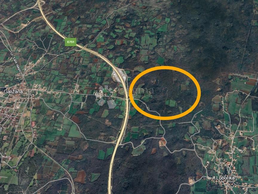 GALIŽANA