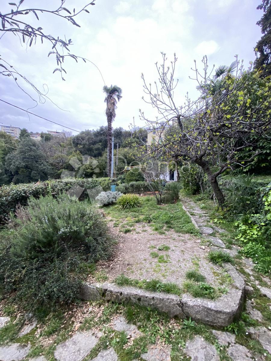 VOLOSKO