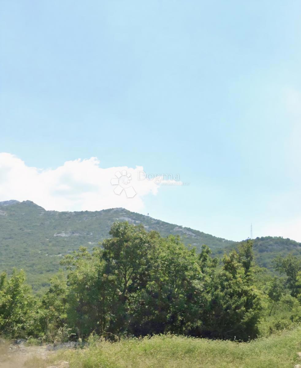 KLIS