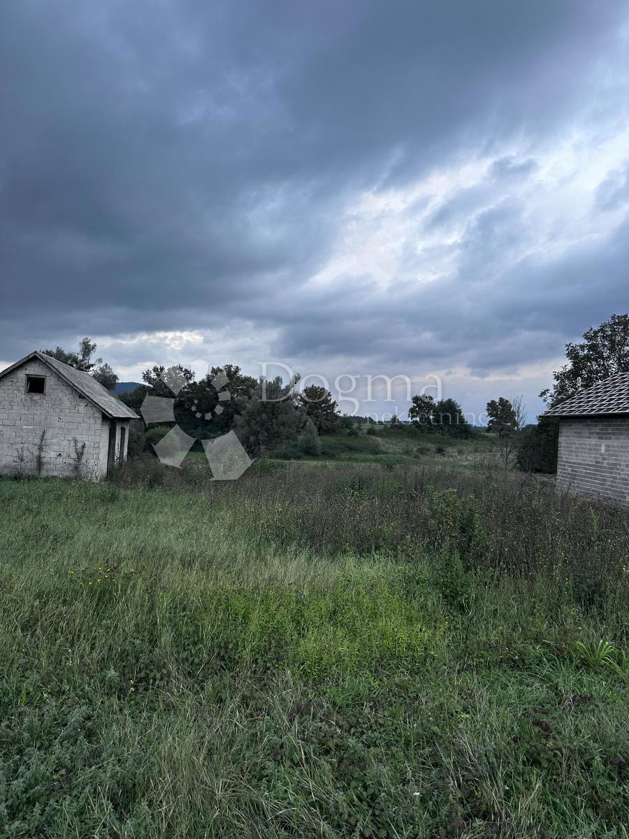 LIČKI OSIK