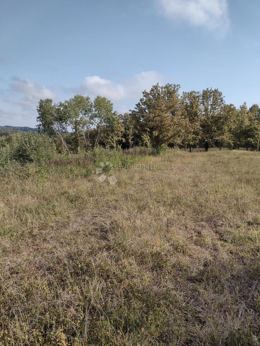 OSTROŽIN
