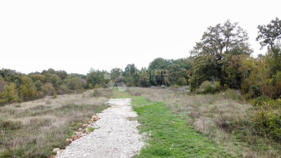 SVETVINČENAT