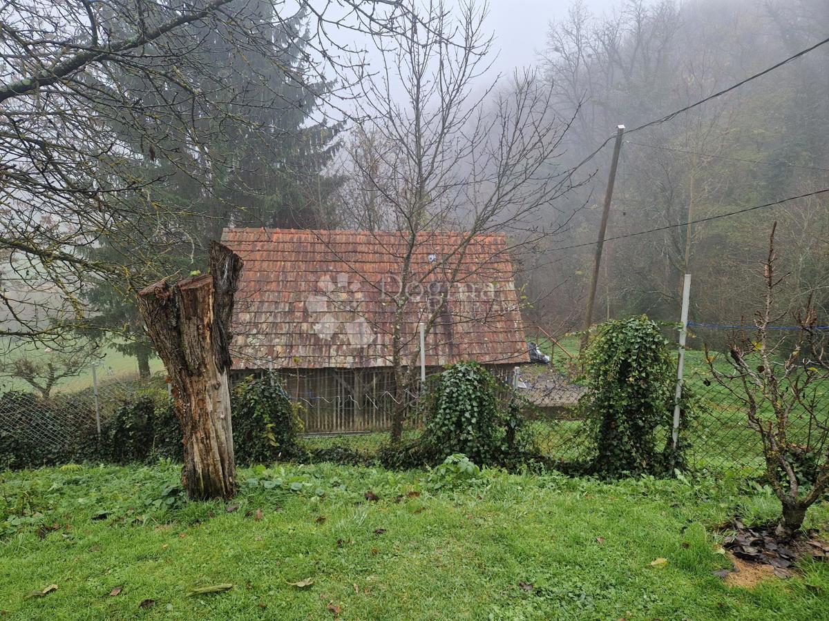 KLOKOVEC