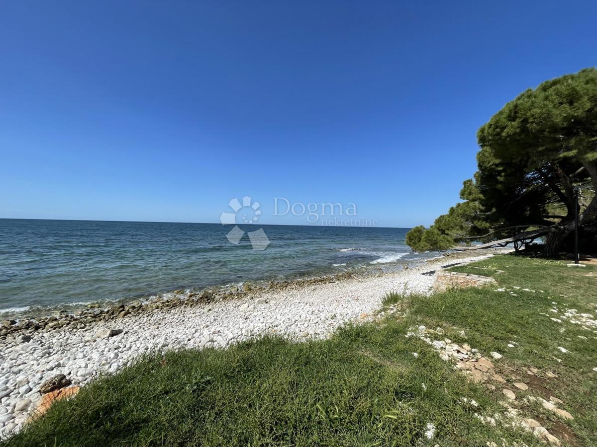 UMAG