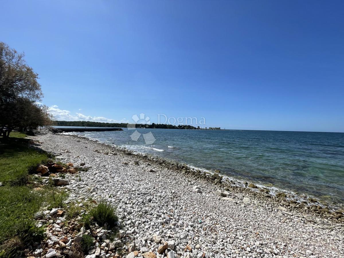 UMAG
