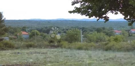 POLIČNIK