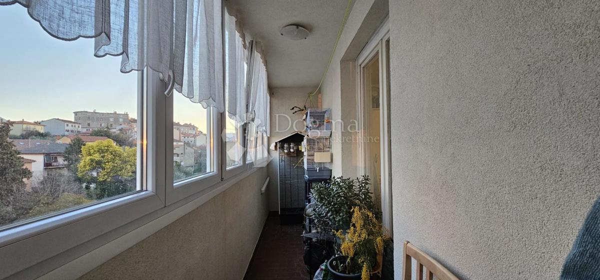 PULA
