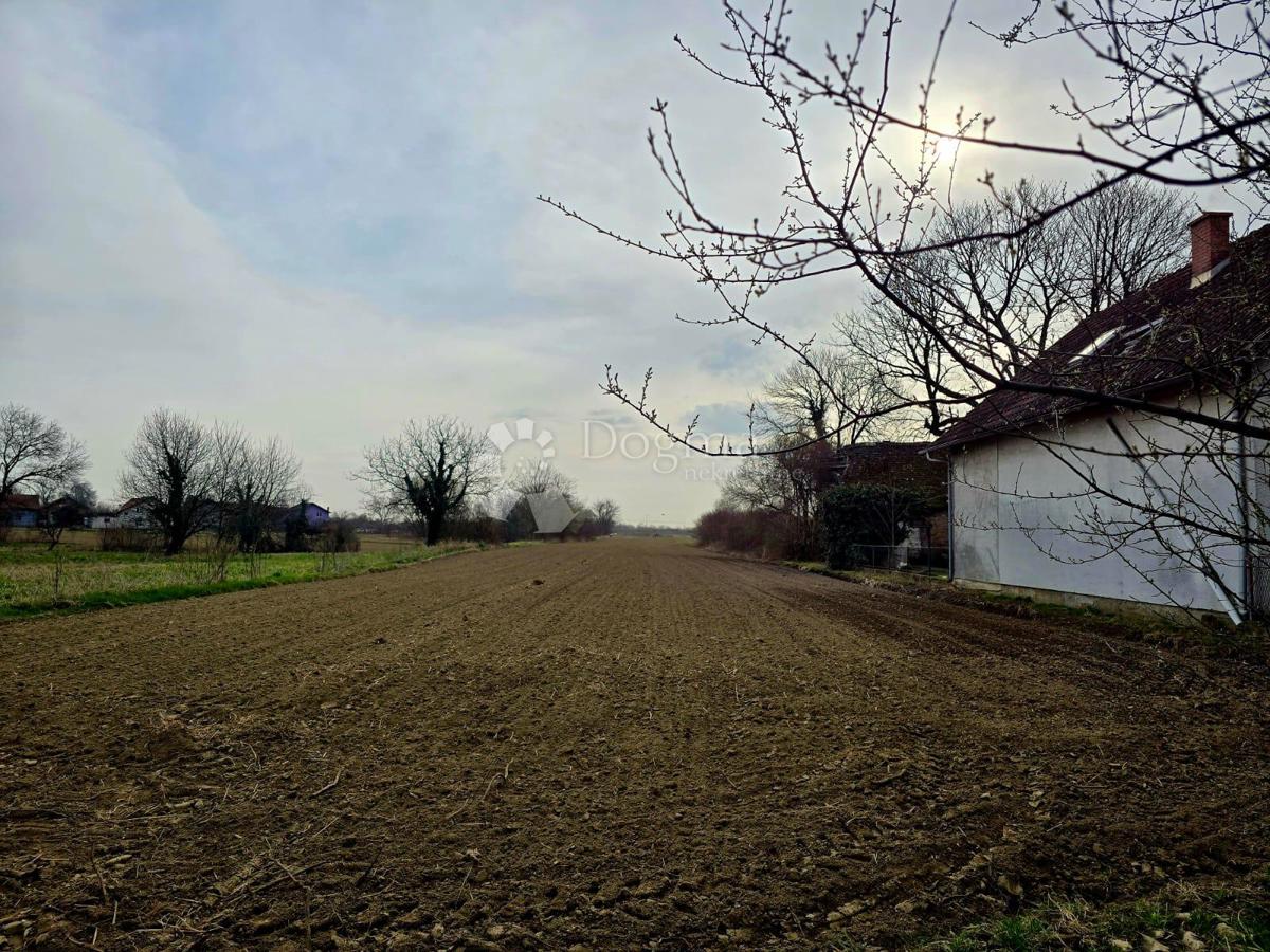 PEŠČENICA