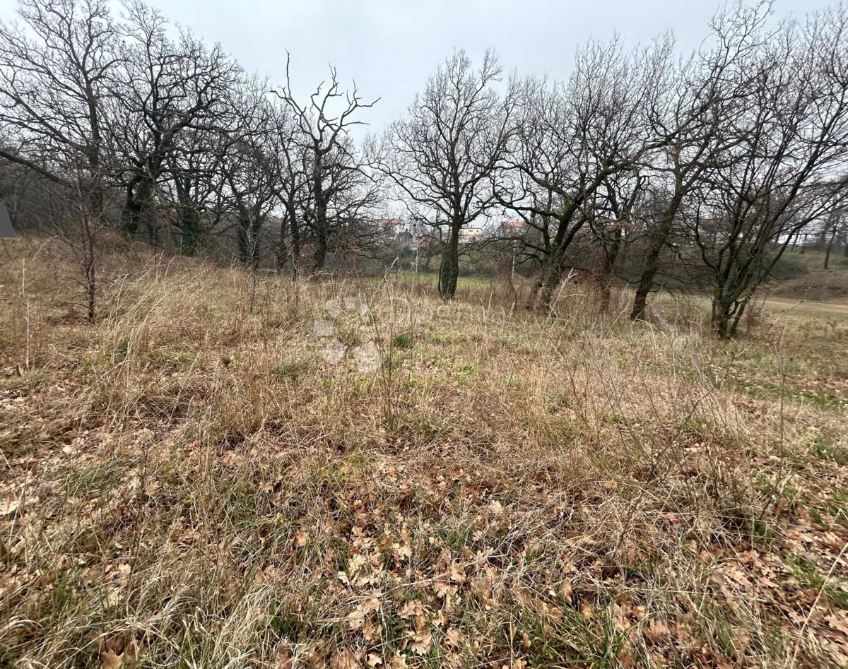 TRSAT