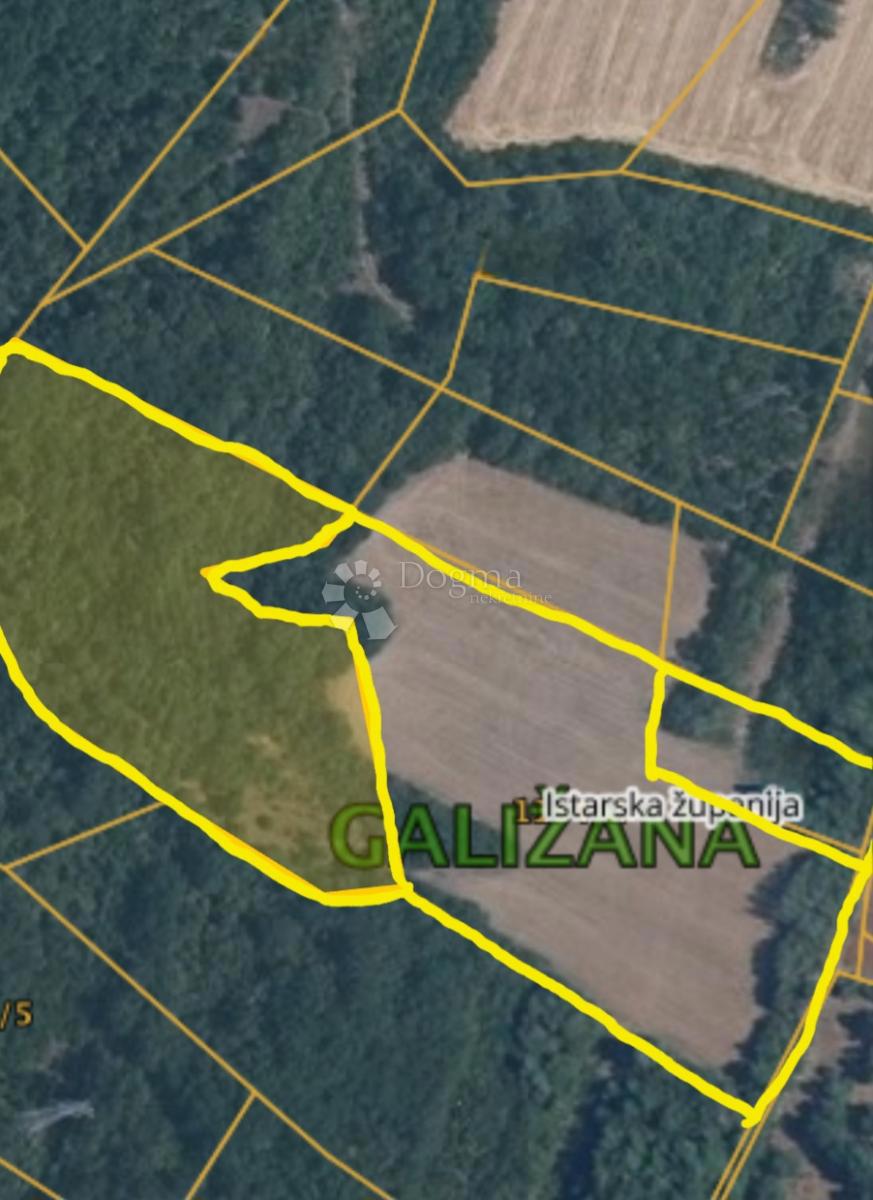 GALIŽANA