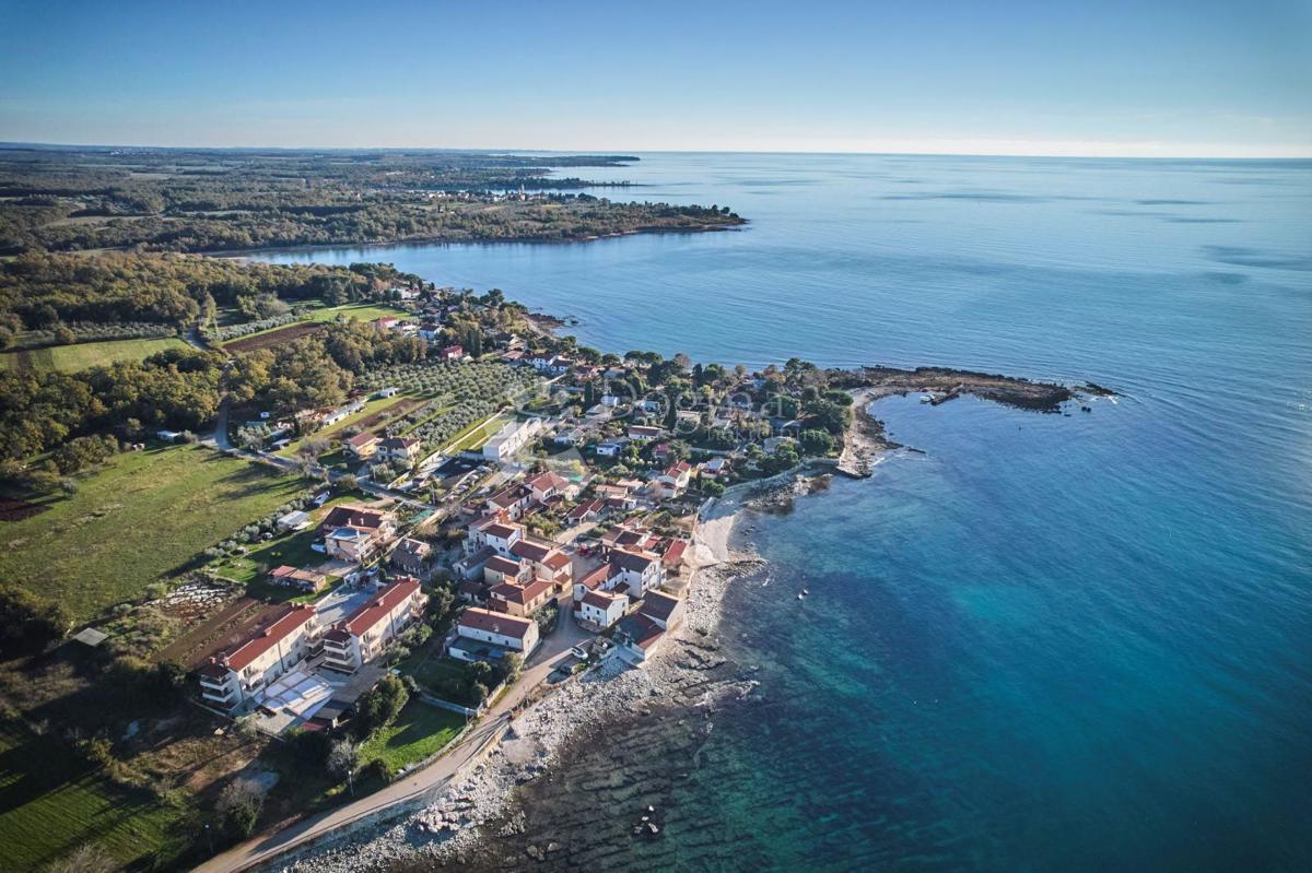 UMAG