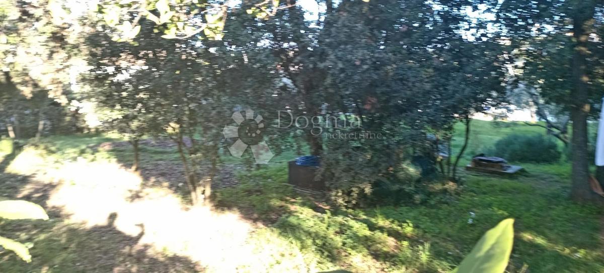 PJEŠČANA UVALA
