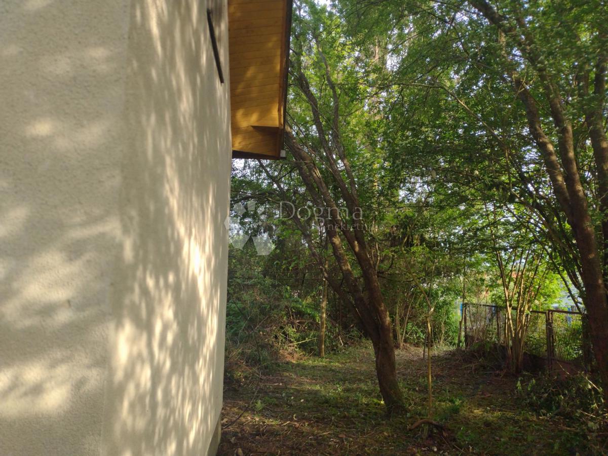 CREVARSKA STRANA