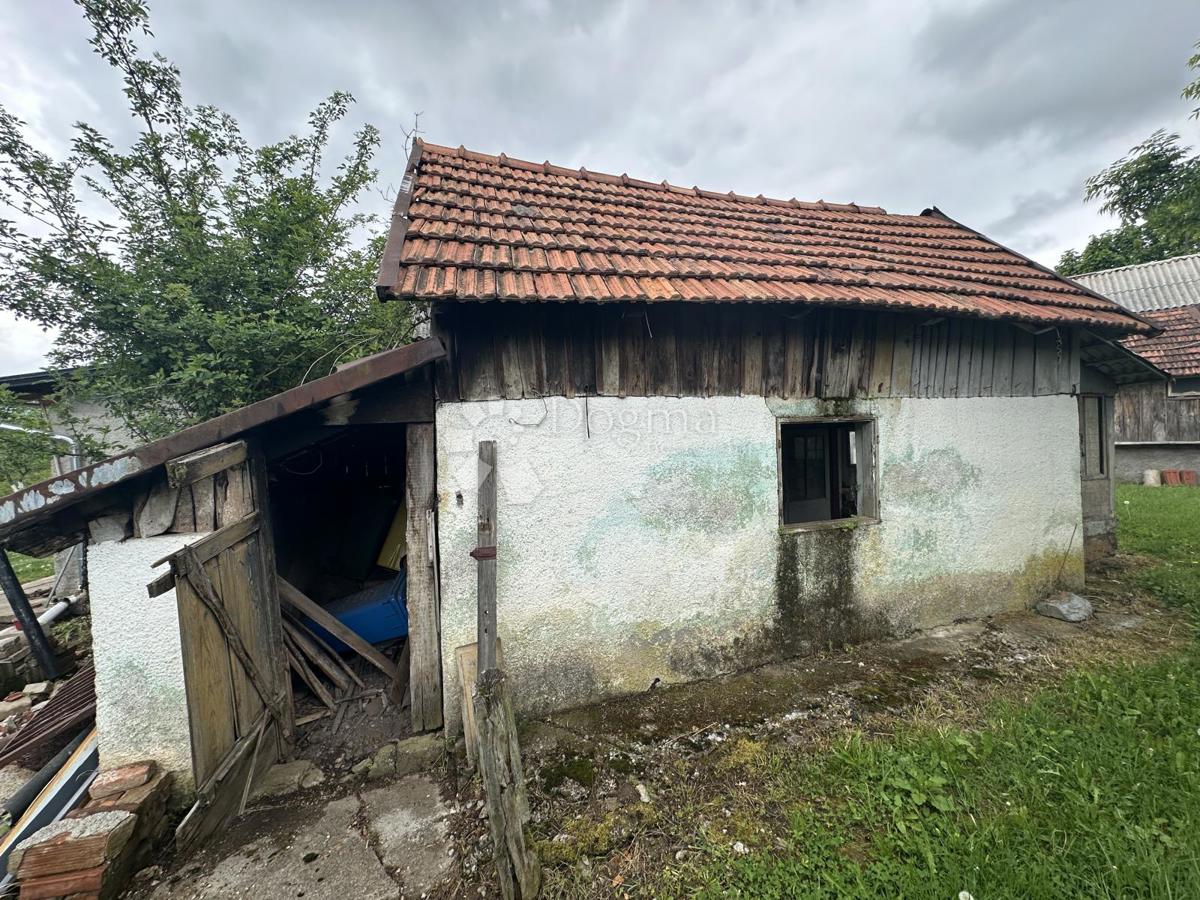 ŽABICA