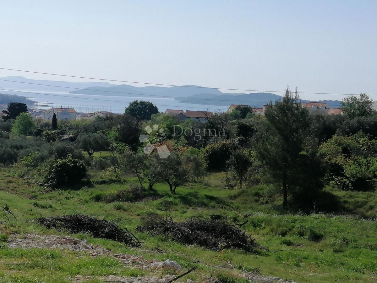 VODICE
