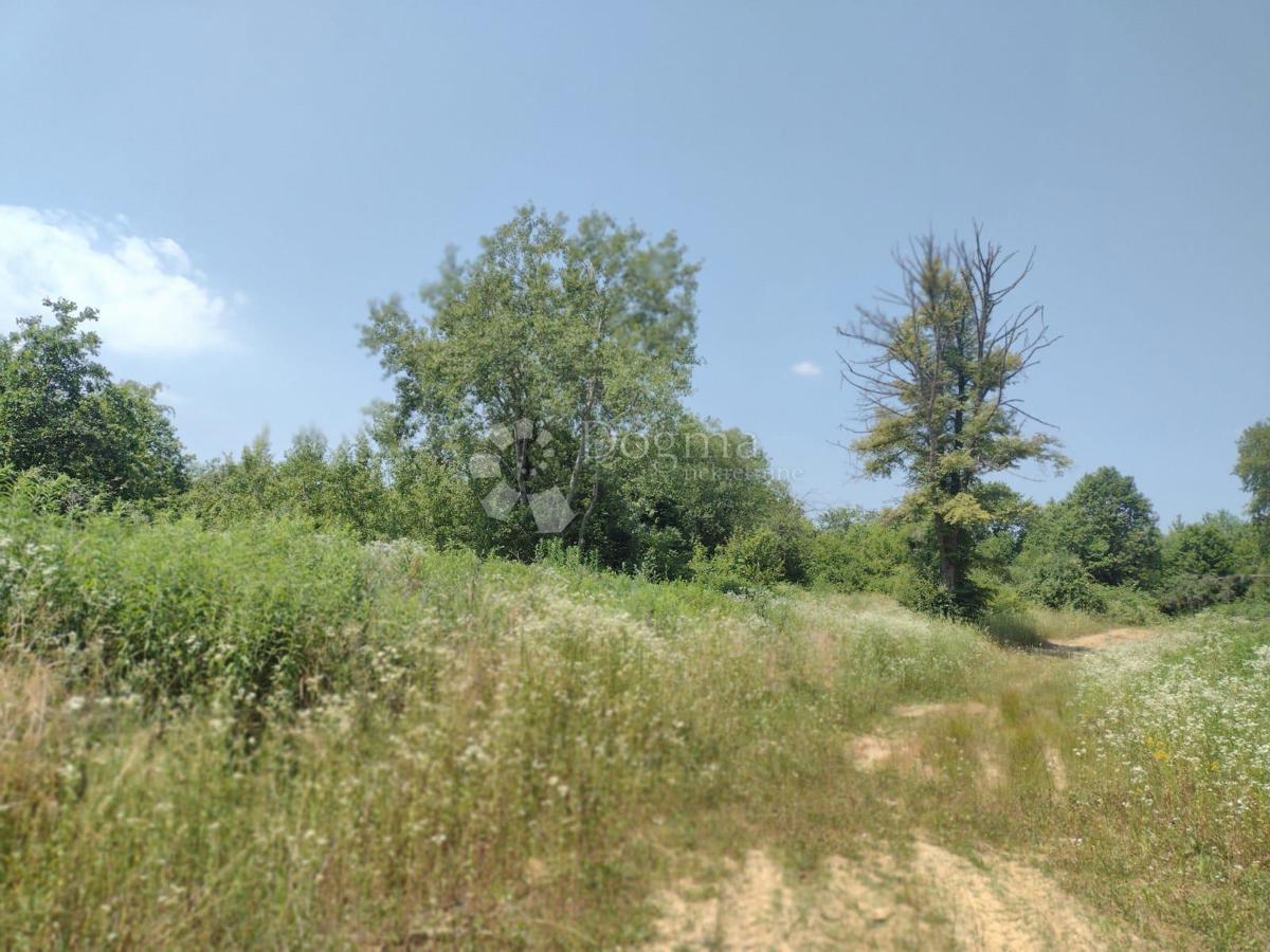 GVOZD