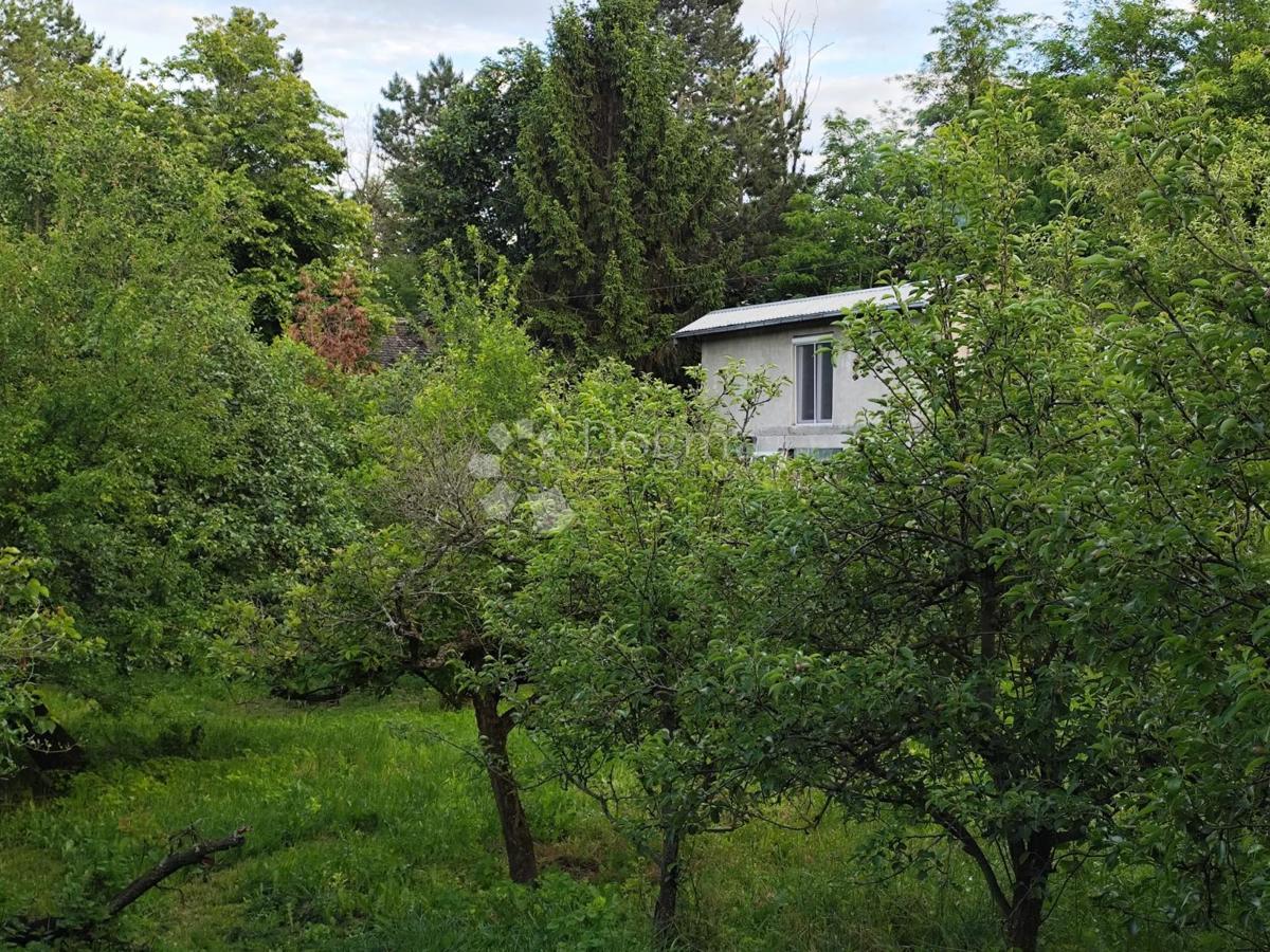 KNEŽEVI VINOGRADI