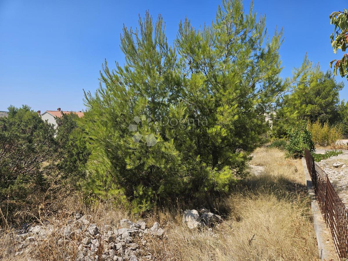GREBAŠTICA
