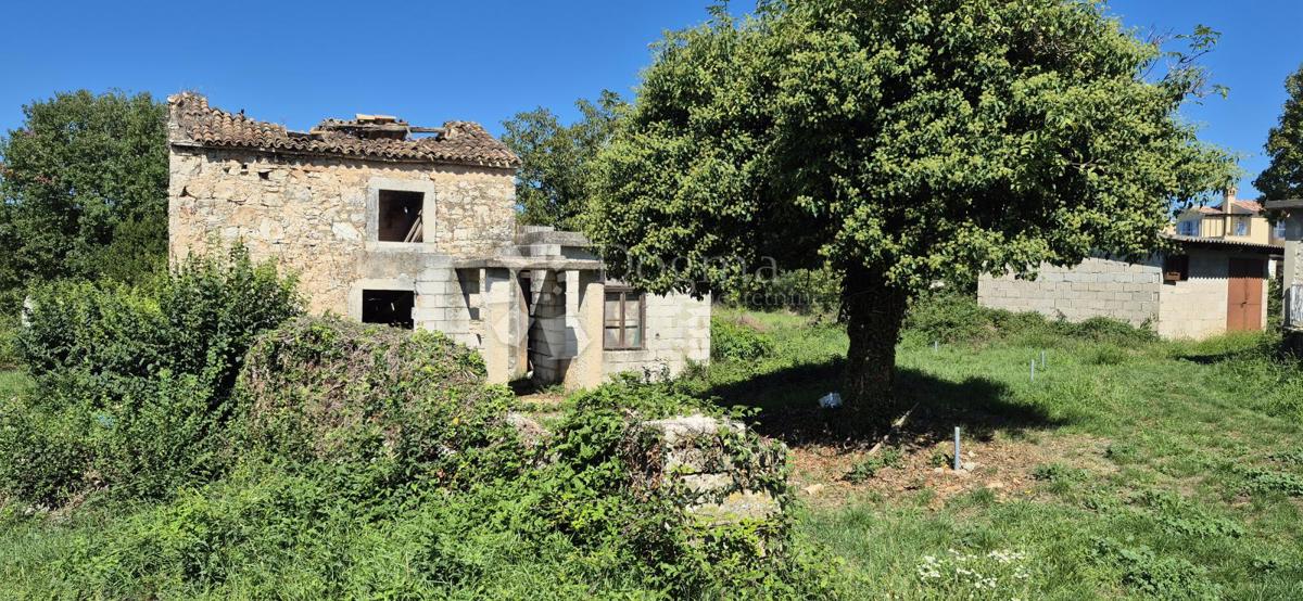JURŠIĆI