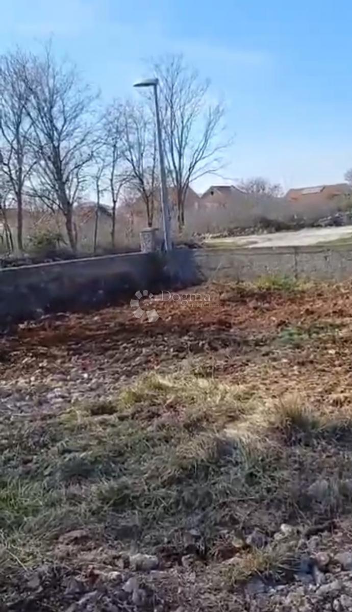 ČISTA VELIKA
