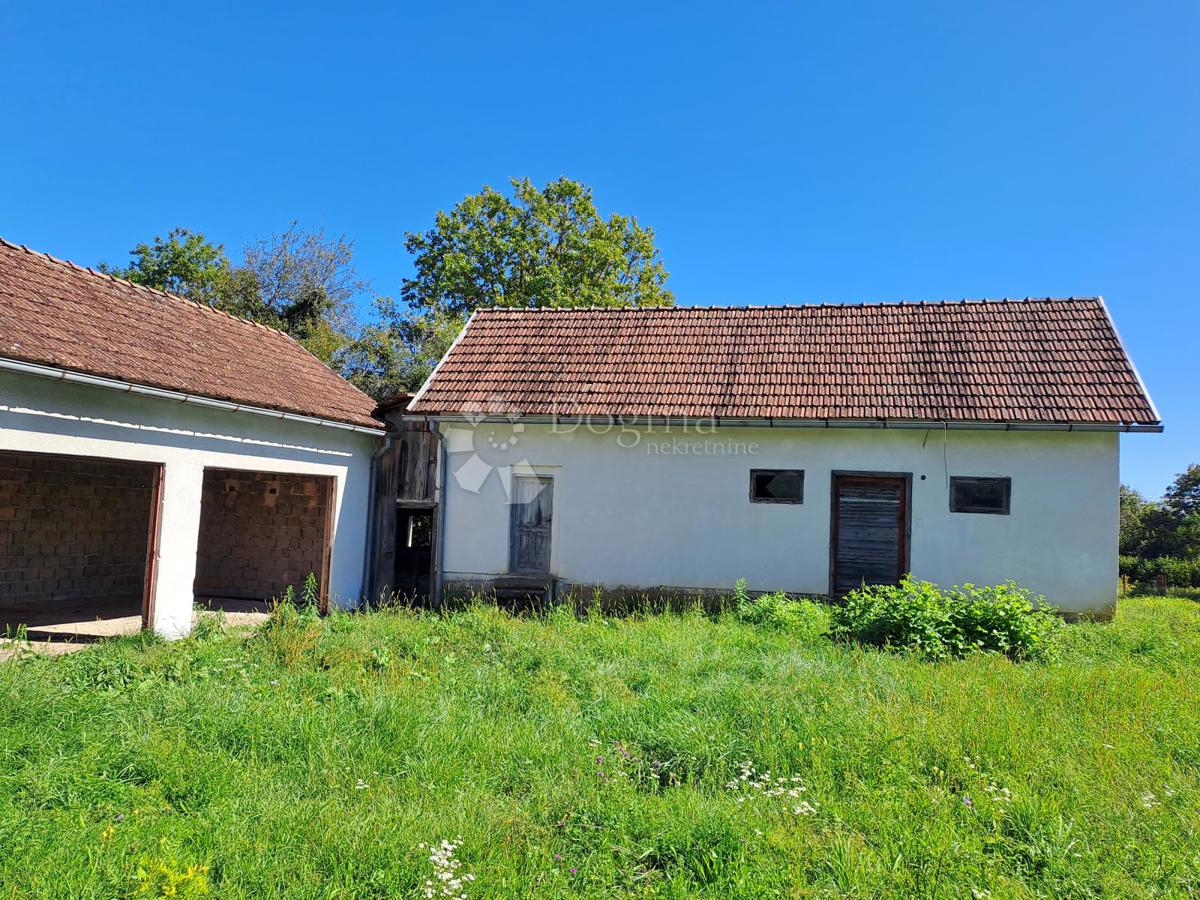 PJEŠČANICA