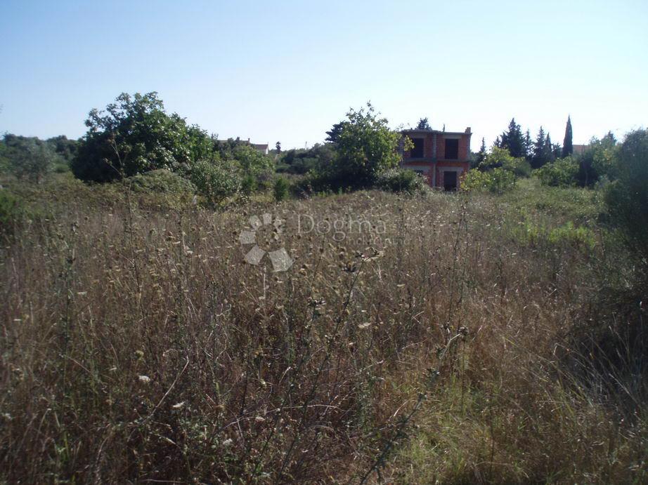 UGLJAN