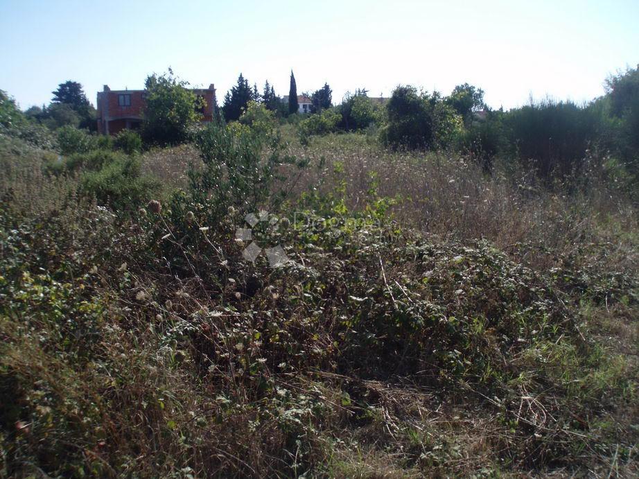 UGLJAN