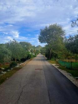 UGLJAN