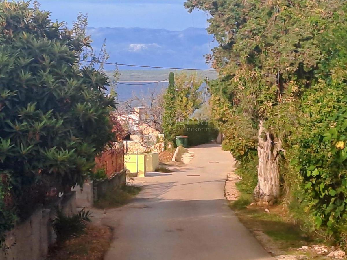 UGLJAN