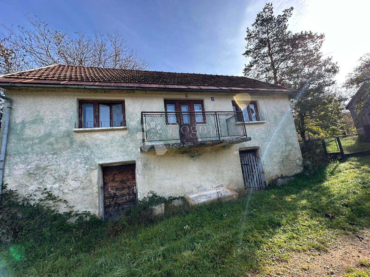 ŠVICA